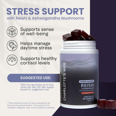 Nutrition panel for Stress Support Gummies