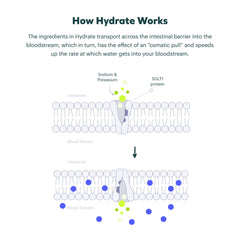 Cheers Classic Combo Hydrate powder dissolves quickly for rapid rehydration after alcohol
