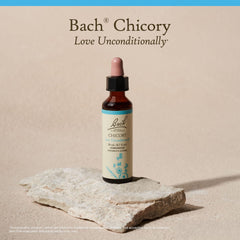 Emotional balance concept with Chicory Bach remedy