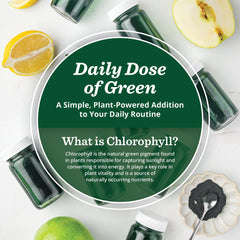 Detox, energy, and alkalize benefits visualization