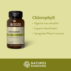 Chlorophyll aiding immune support