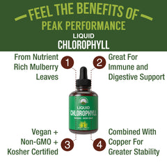 Chlorophyll Liquid Drops ingredients and vegan formula