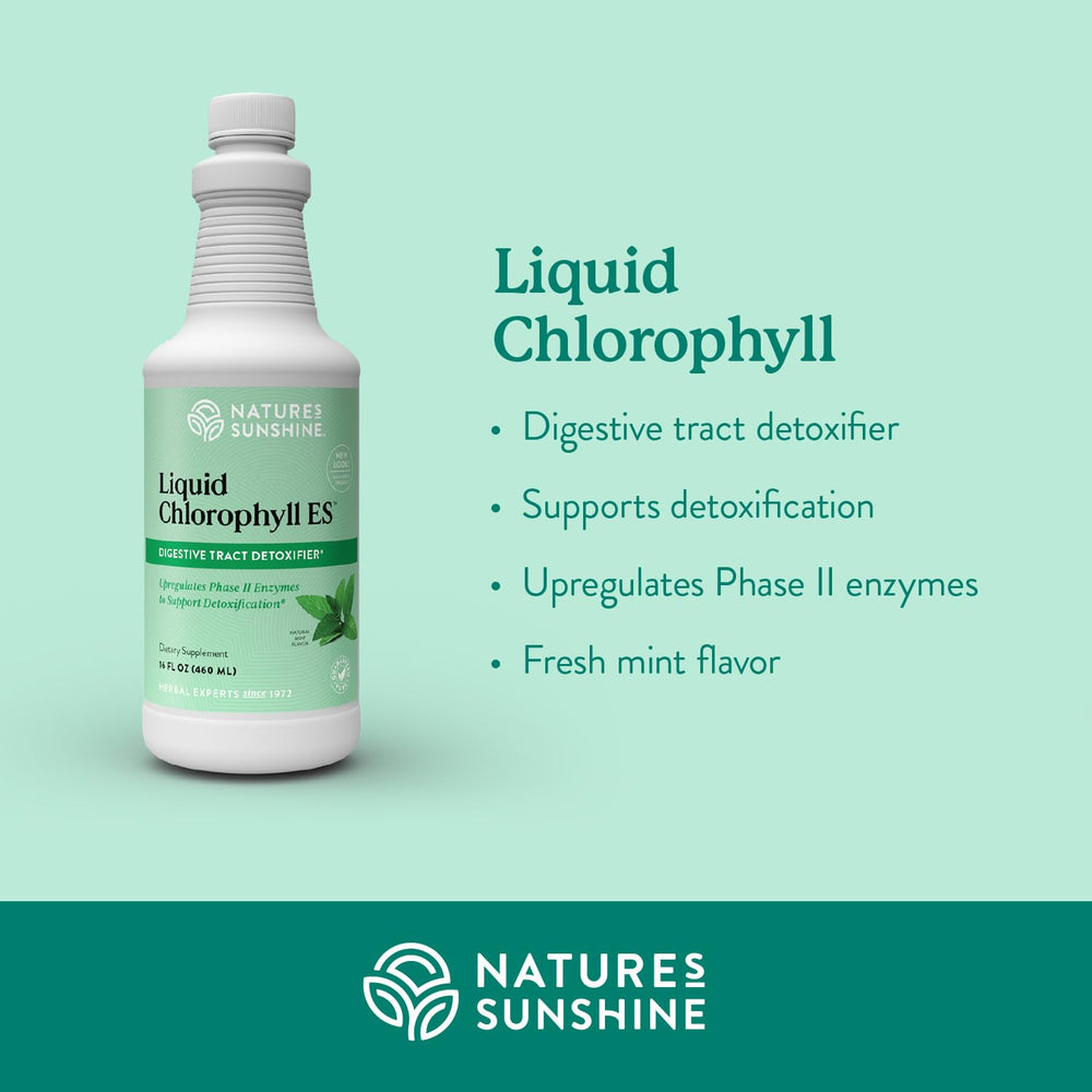 Chlorophyll liquid drops with spearmint oil