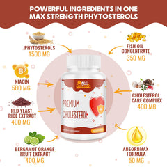 High absorption cholesterol supplement with turmeric and black pepper