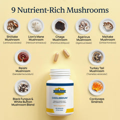 Chaga and Turkey Tail mushrooms visual for Cholibrium