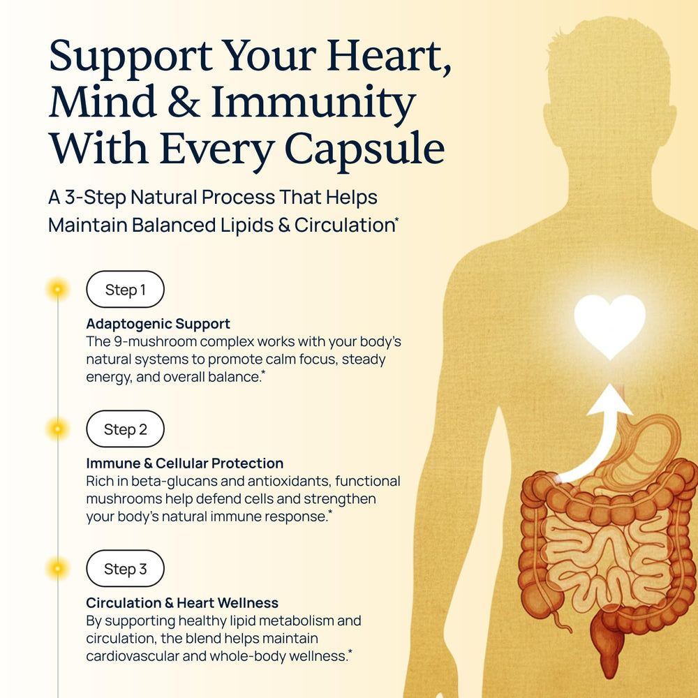 Cordyceps energy visual in Cholibrium blend