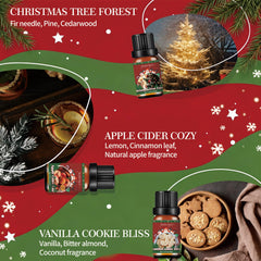 Cinnamon Spice Christmas diffuser oil bottle