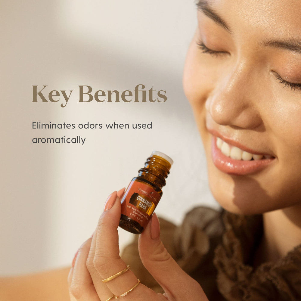 Warm holiday scene with Cinnamon Bark scent