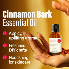 Diffuser with cinnamon oil aroma