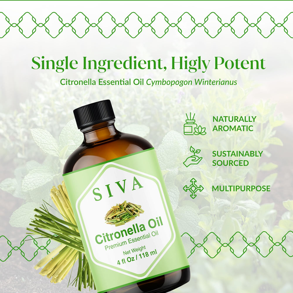 Citronella essential oil aroma for diffuser and aromatherapy