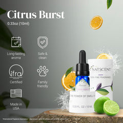 Muguet and jasmine floral notes in Citrus Burst diffuser oil