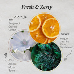Cedar and sandalwood warmth in Citrus Burst aroma