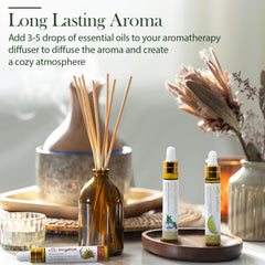 Citrus fragrance oils used in diffusers for aromatherapy and DIY projects