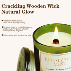 Fragrances in the CJVIUS set: Eucalyptus Mint, Sandalwood Rose, Lavender, Sage Citrus Coconut & Vanilla, Cinnamon Apple, Fir & Cedar
