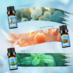 Mint essential oil bottle from six-pack set