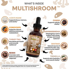 Clean Nutra Turkey Tail mushroom drops as part of a balanced wellness routine