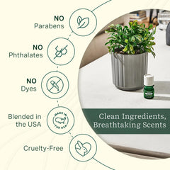 Crisp Mountain Air blend bottle label from ClickWick Lifelines Discovery Set