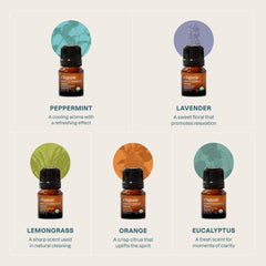 Eucalyptus essential oil from Cliganic Top 5 Classics set