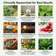 DHM Vine Tea Leaf antioxidant imagery