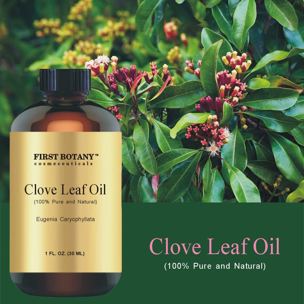 Clove leaf essential oil dropper close-up