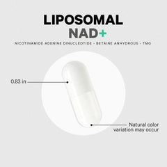 Outer carton displaying Codeage Liposomal NAD+ branding