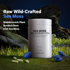Burdock root added to wildcrafted sea moss supplement