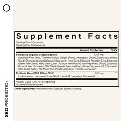 Illustration representing soil-based probiotic strains