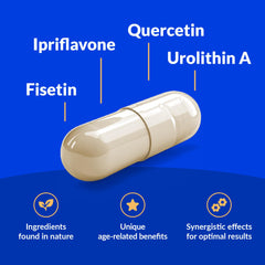 CogniSHIELD ingredient profile featuring fisetin for natural brain support