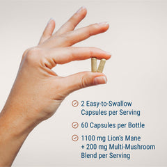 Mushroom blend close-up highlighting Lion's Mane for cognitive support