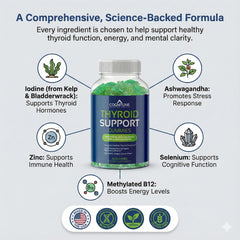 CogniTune kelp and bladderwrack ingredients displaying natural iodine source
