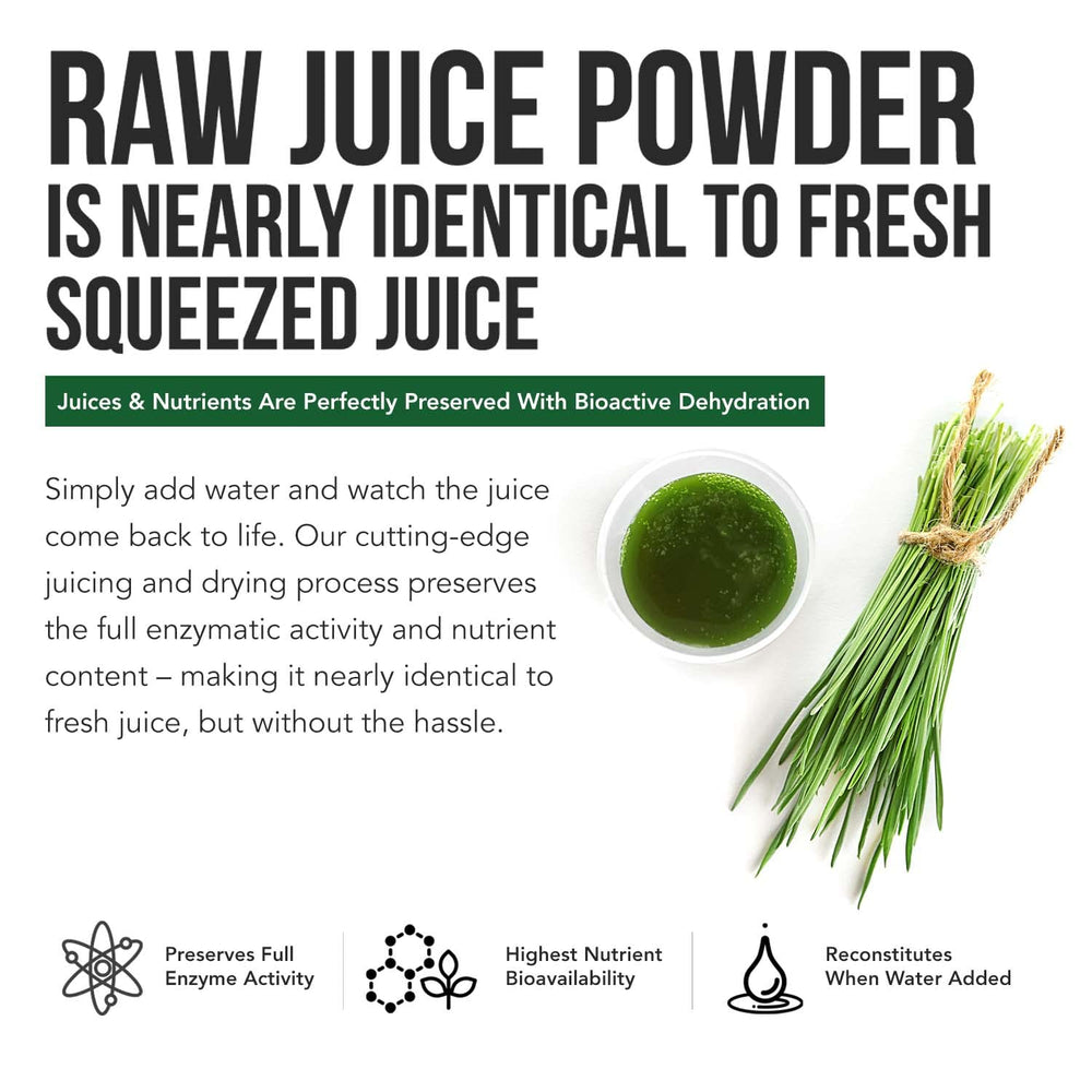 Cold-pressed barley grass juice powder