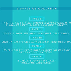 Illustration showing collagen types I-V-X