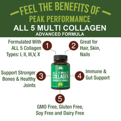 Label highlighting collagen types I, II, III, V and X