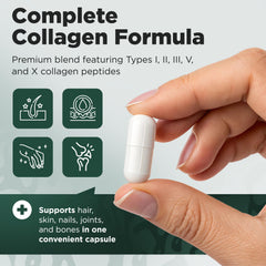 Collagen types I, II, III, V and X in capsule form