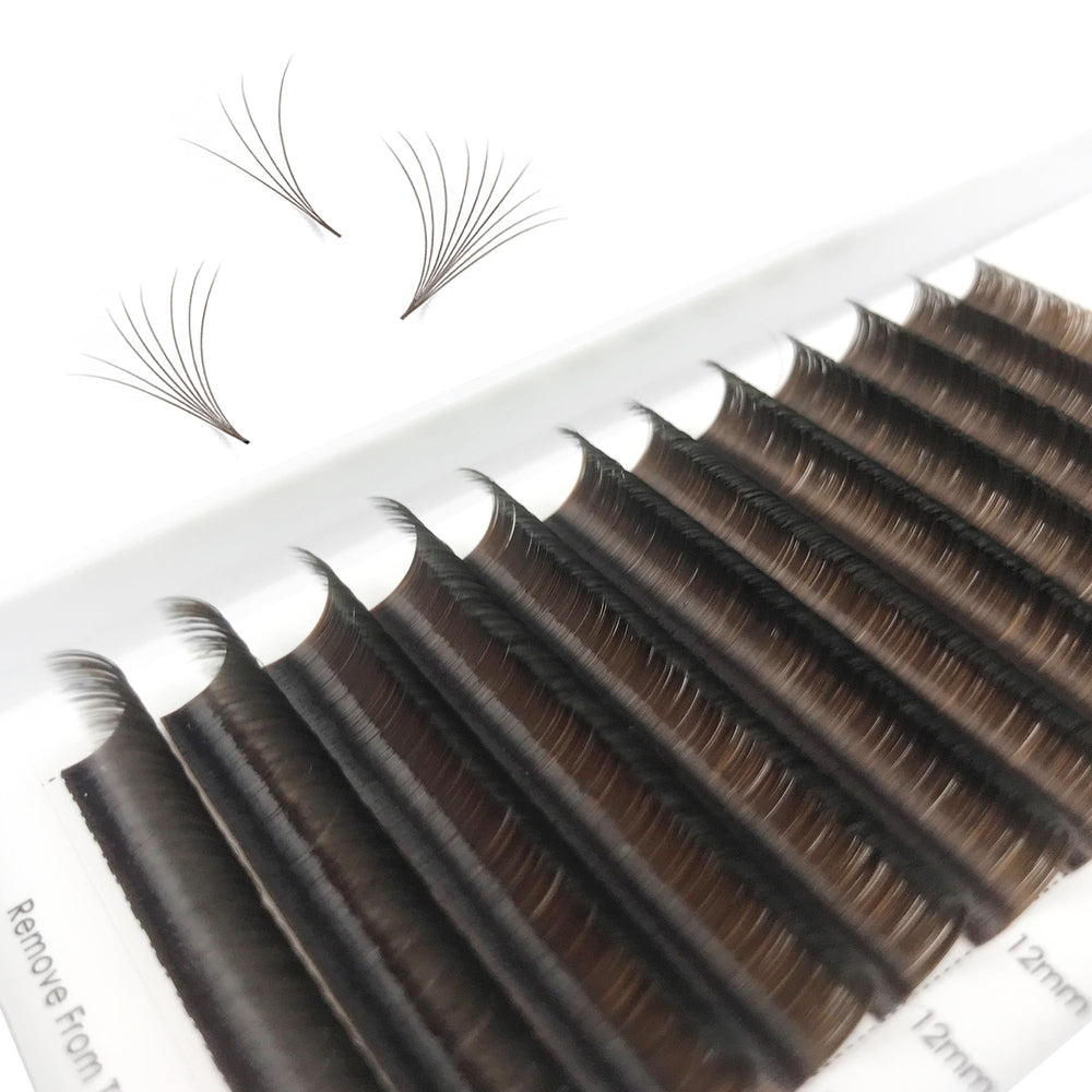 CoMango Color Lashes Easy Fan Tray for vibrant look options.