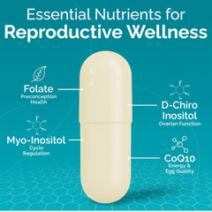Ginger extract capsules symbolizing reproductive health