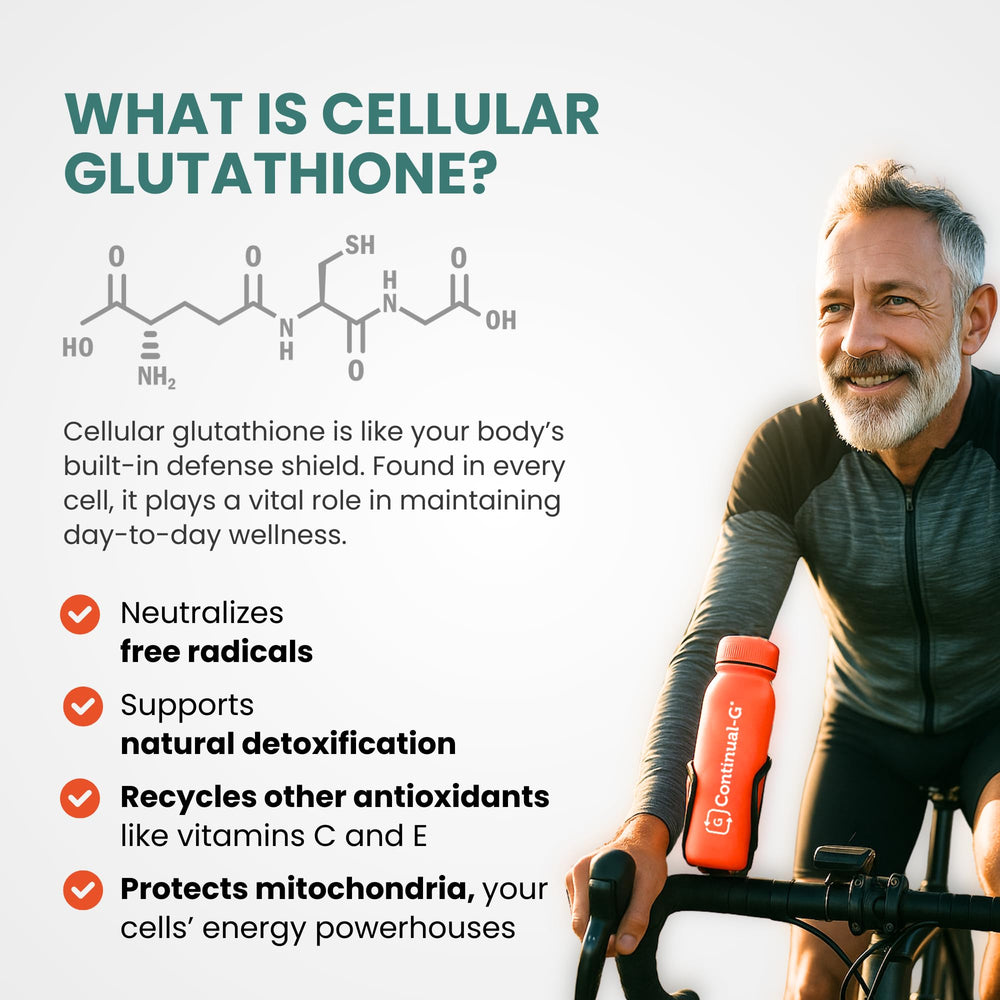 Muscle recovery and antioxidant support graphic