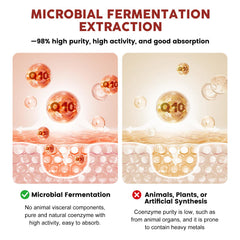 Illustration of CoQ10, bergamot, and grape seed extract ingredients