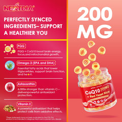 B vitamins icons showing B6, B9, B12 with other ingredients