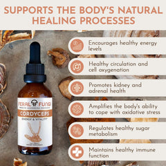 Whole fruiting body Cordyceps mushroom