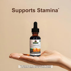 Cordyceps extract ingredients and nutrients graphic