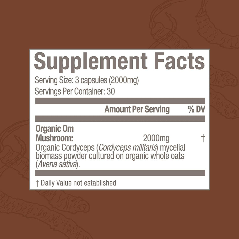 Close-up of cordyceps mushroom powder and capsules