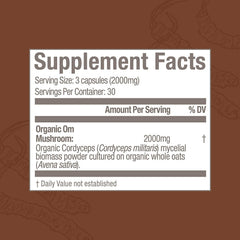Close-up of cordyceps mushroom powder and capsules