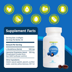Core Med Science liposomal technology diagram illustrating enhanced nutrient delivery.