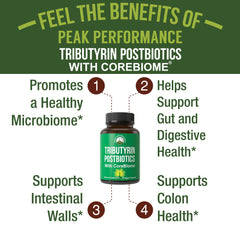 Diagram illustrating gut health support from Tributyrin