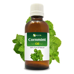 Cornmint oil Mentha arvensis bottle 15ml