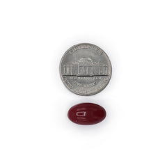Fifty softgels per bottle displayed