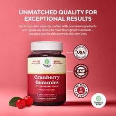 Illustration of urinary tract health and bladder support