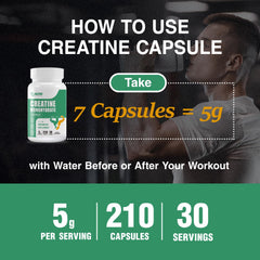 Bottle with 210 capsules total arranged neatly