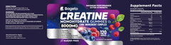 Ingredients panel for Creatine Monohydrate Gummies 8000mg